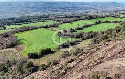 LAPSEKİ GÖKKÖY’DE UYGUN FİYATLI TARLA