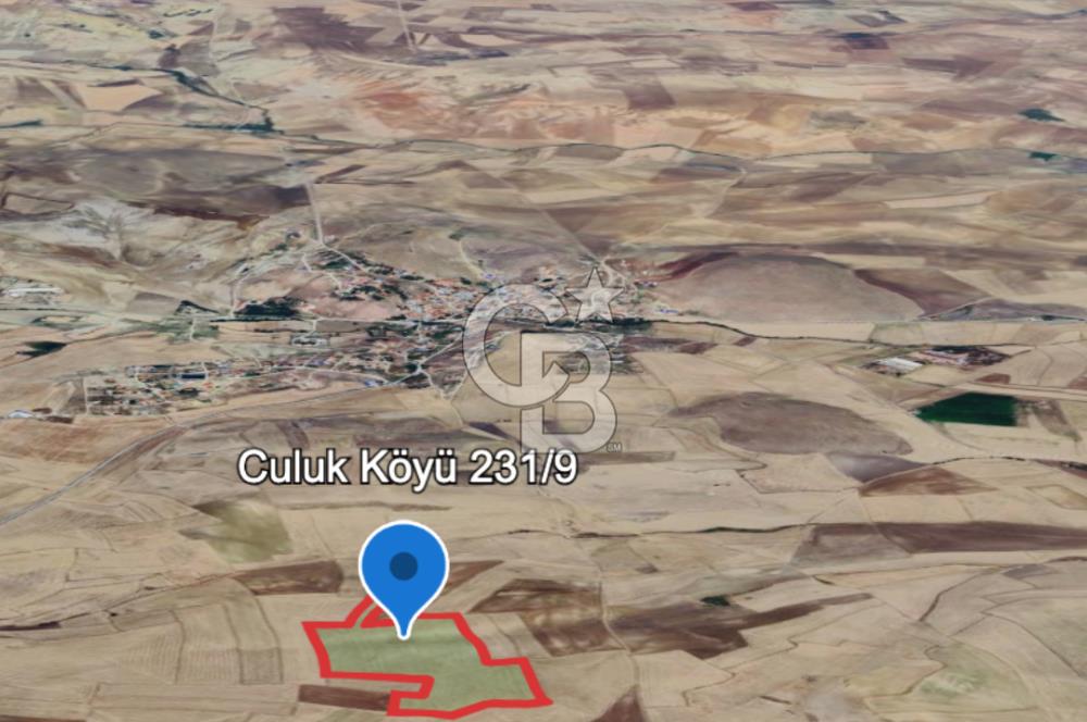 Haymana Culuk Satılık Tarla 132 Dönüm, Tek ve Kök Tapu