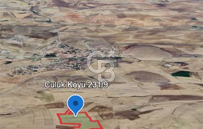 Haymana Culuk Satılık Tarla 132 Dönüm, Tek ve Kök Tapu