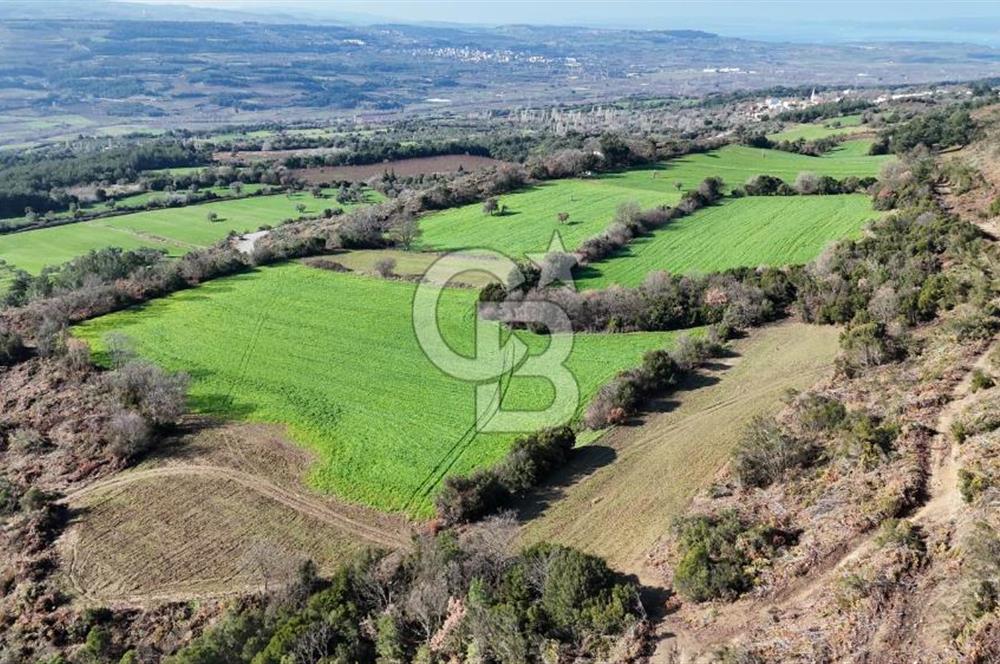 LAPSEKİ GÖKKÖY’DE UYGUN FİYATLI TARLA