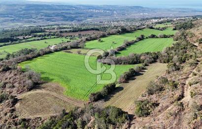LAPSEKİ GÖKKÖY’DE UYGUN FİYATLI TARLA