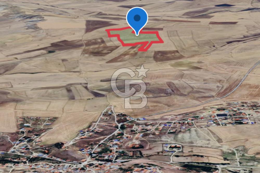 Haymana Culuk Satılık Tarla 132 Dönüm, Tek ve Kök Tapu