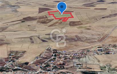 Haymana Culuk Satılık Tarla 132 Dönüm, Tek ve Kök Tapu