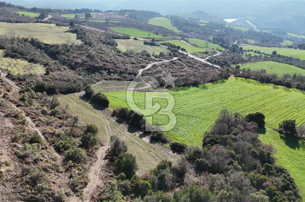 LAPSEKİ GÖKKÖY’DE UYGUN FİYATLI TARLA