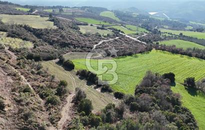 LAPSEKİ GÖKKÖY’DE UYGUN FİYATLI TARLA