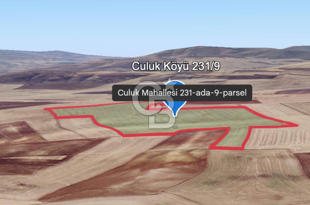 Haymana Culuk Satılık Tarla 132 Dönüm, Tek ve Kök Tapu