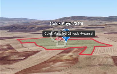 Haymana Culuk Satılık Tarla 132 Dönüm, Tek ve Kök Tapu