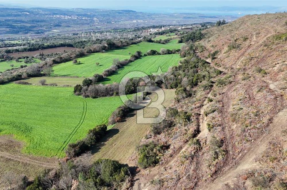 LAPSEKİ GÖKKÖY’DE UYGUN FİYATLI TARLA
