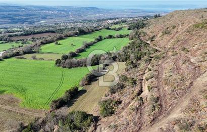 LAPSEKİ GÖKKÖY’DE UYGUN FİYATLI TARLA