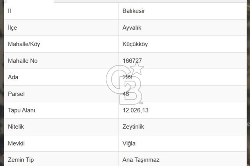 Ayvalıkta Deniz Manzaralı Eşsiz Konumlu 12.026 m² Zeytinlik