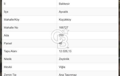 Ayvalıkta Deniz Manzaralı Eşsiz Konumlu 12.026 m² Zeytinlik