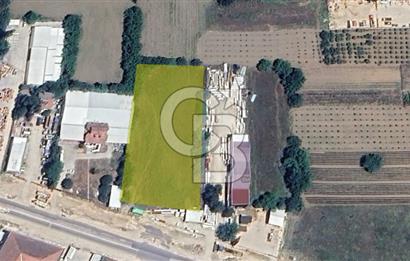 GENİŞLEYEN ÇALI YOLUNA CEPHE 6 DÖNÜM KİRALIK ARAZİ