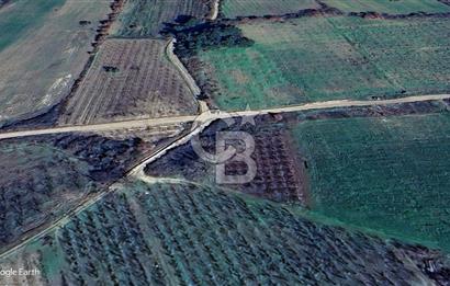 Lapseki Gökköy'de Umurbey Baraj Yolu Üzerinde Yatırımlık Tarla