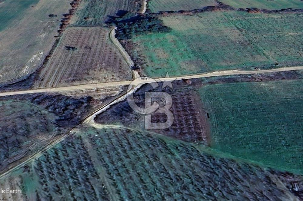 Lapseki Gökköy'de Umurbey Baraj Yolu Üzerinde Yatırımlık Tarla