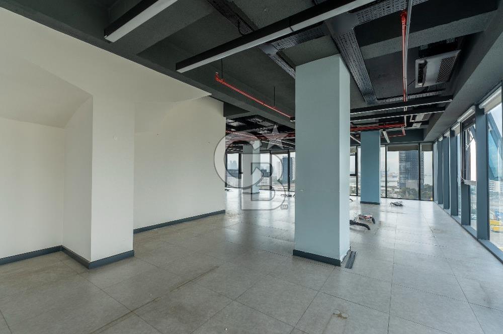 Bayraklı Marla Plaza Kiralık 540m2 Tam Kat Ofis