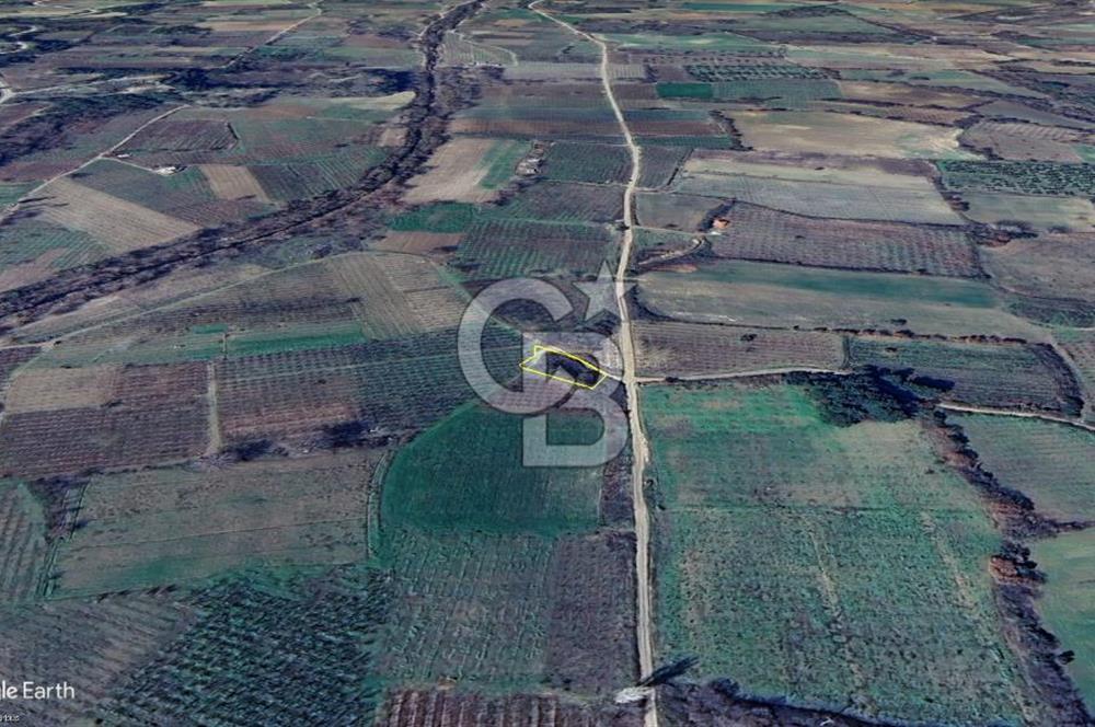 Lapseki Gökköy'de Umurbey Baraj Yolu Üzerinde Yatırımlık Tarla