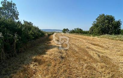 ÇANAKKALE LAPSEKİ KANGIRLI'DA BOĞAZ MANZARALI SATILIK TARLA