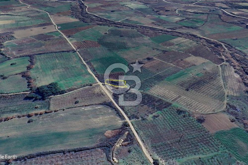 Lapseki Gökköy'de Umurbey Baraj Yolu Üzerinde Yatırımlık Tarla