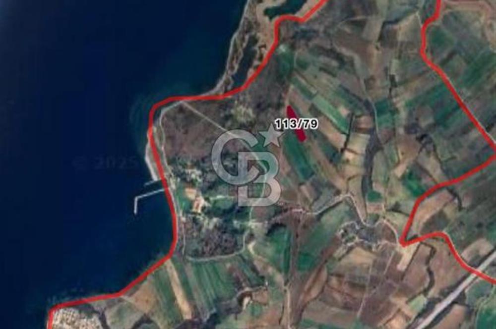 ÇANAKKALE LAPSEKİ KANGIRLI'DA BOĞAZ MANZARALI SATILIK TARLA