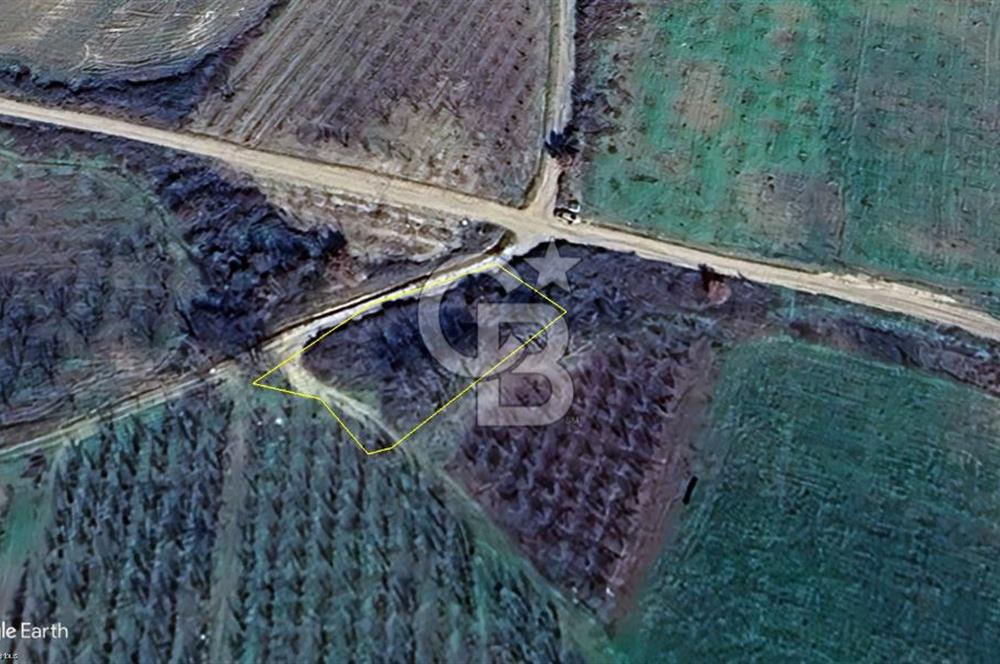 Lapseki Gökköy'de Umurbey Baraj Yolu Üzerinde Yatırımlık Tarla