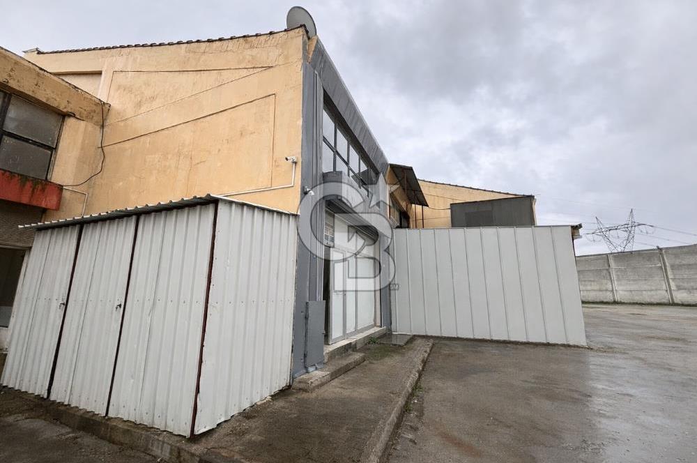 BORNOVA AYKOOP 2 DE KİRALIK BATAR KATLI - BODRUMLU DÜKKAN