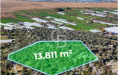 CB GİZ'DEN KAŞ ÇAYKÖY'DE DENİZ MANZARALI SATILIK ZEYTİNLİK