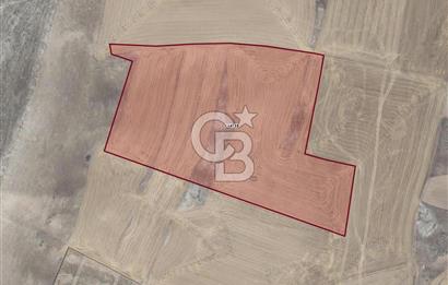 Temelli'de Satılık 36.990 m² Müstakil Tapulu Tarla