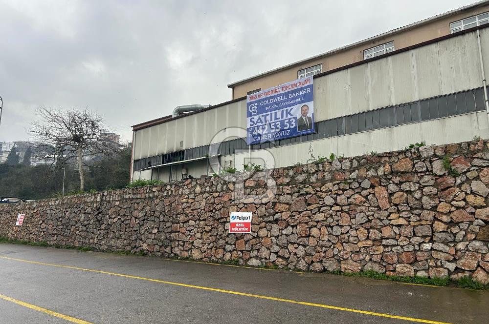 Dilovası OSB Polisan Boya karşısı 3055 m² Alanlı Satılık Fabrika