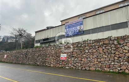 Dilovası OSB Polisan Boya karşısı 3055 m² Alanlı Satılık Fabrika