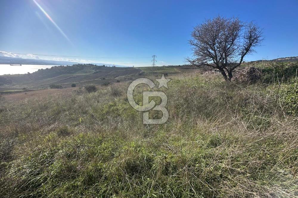 MUHTEŞEM BOĞAZ VE 1915 KÖPRÜ MANZARALI ACİL SATILIK ARAZİ