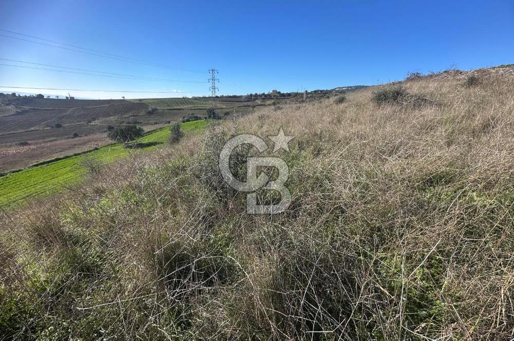 MUHTEŞEM BOĞAZ VE 1915 KÖPRÜ MANZARALI ACİL SATILIK ARAZİ