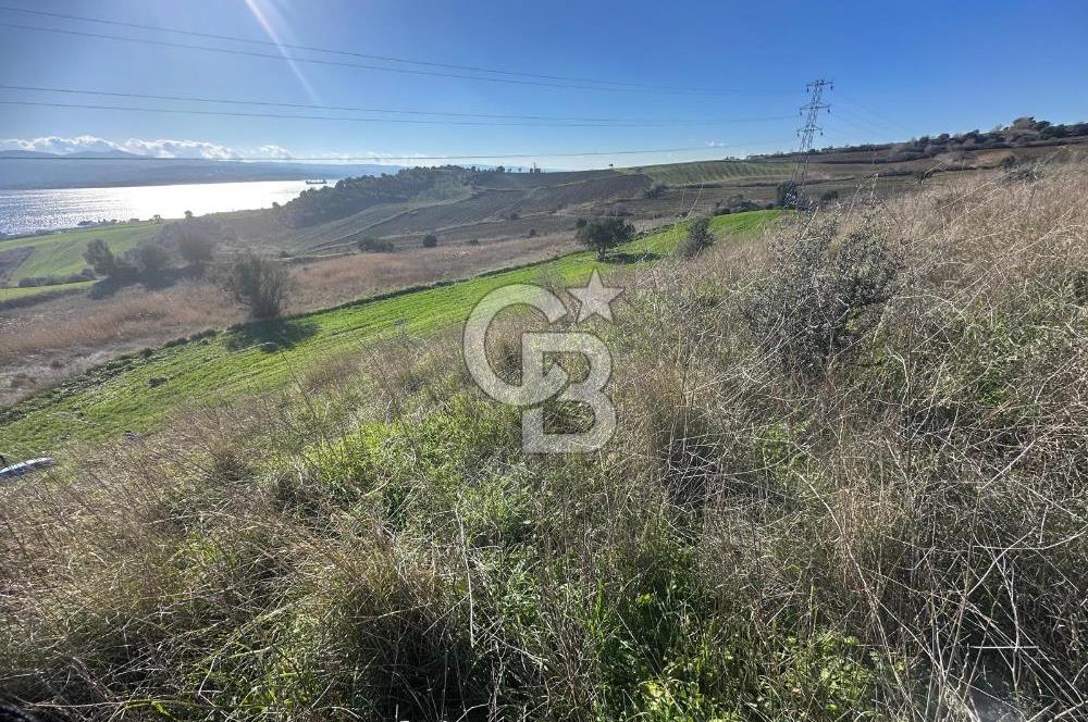 MUHTEŞEM BOĞAZ VE 1915 KÖPRÜ MANZARALI ACİL SATILIK ARAZİ