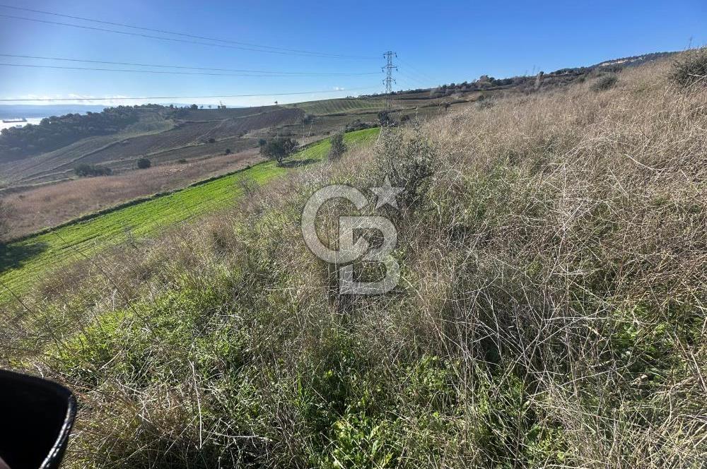 MUHTEŞEM BOĞAZ VE 1915 KÖPRÜ MANZARALI ACİL SATILIK ARAZİ