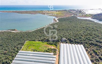 DEMRE BEYMELEK DE CB ARDEN DEN FULL DENİZ MANZARALI SATILIK ZEYTİNLİK