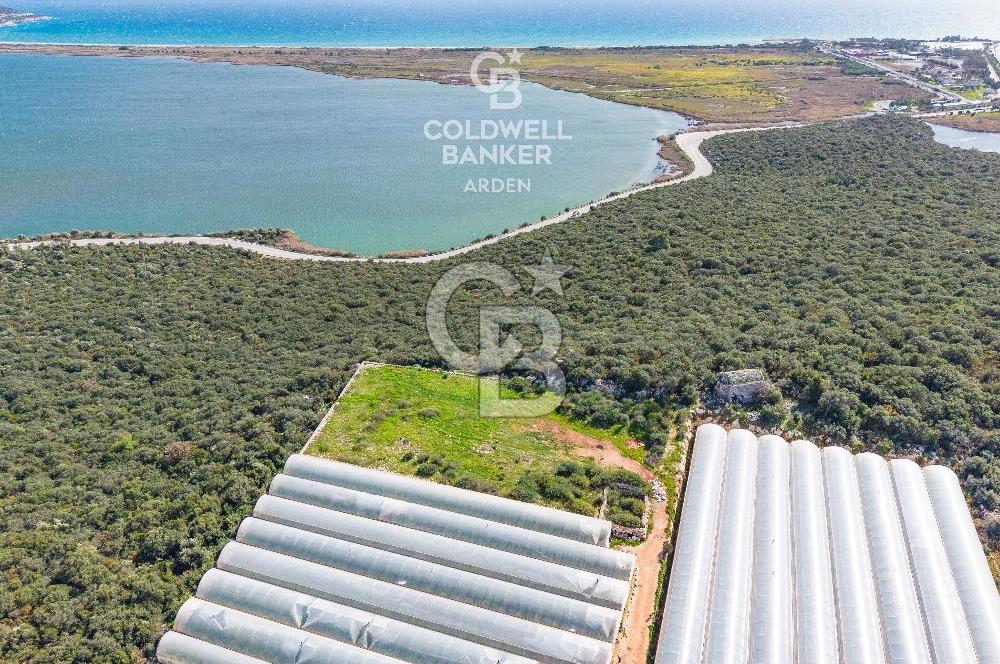 DEMRE BEYMELEK DE CB ARDEN DEN FULL DENİZ MANZARALI SATILIK ZEYTİNLİK