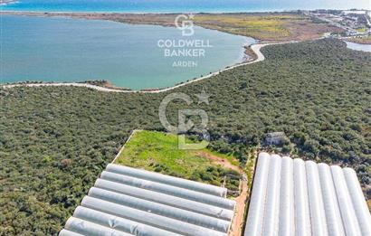 DEMRE BEYMELEK DE CB ARDEN DEN FULL DENİZ MANZARALI SATILIK ZEYTİNLİK