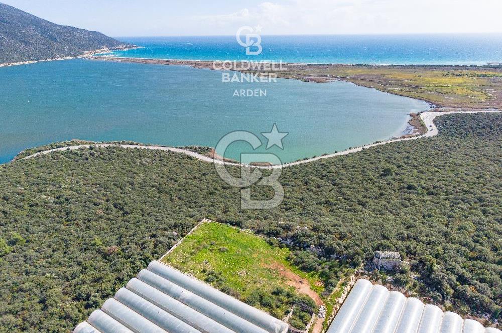 DEMRE BEYMELEK DE CB ARDEN DEN FULL DENİZ MANZARALI SATILIK ZEYTİNLİK