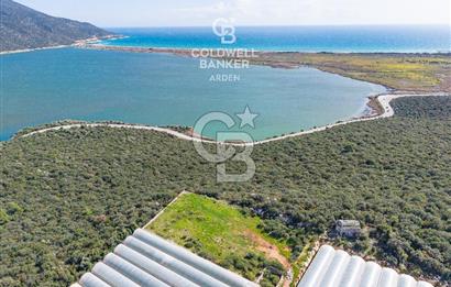 DEMRE BEYMELEK DE CB ARDEN DEN FULL DENİZ MANZARALI SATILIK ZEYTİNLİK