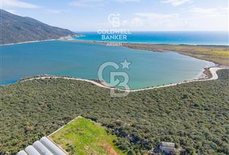 DEMRE BEYMELEK DE CB ARDEN DEN FULL DENİZ MANZARALI SATILIK ZEYTİNLİK - 1 - 333917