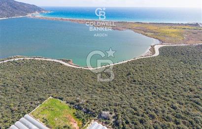 DEMRE BEYMELEK DE CB ARDEN DEN FULL DENİZ MANZARALI SATILIK ZEYTİNLİK