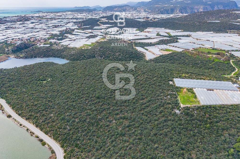 DEMRE BEYMELEK DE CB ARDEN DEN FULL DENİZ MANZARALI SATILIK ZEYTİNLİK