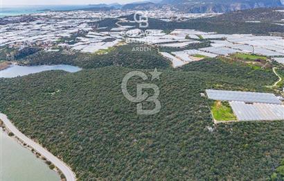 DEMRE BEYMELEK DE CB ARDEN DEN FULL DENİZ MANZARALI SATILIK ZEYTİNLİK