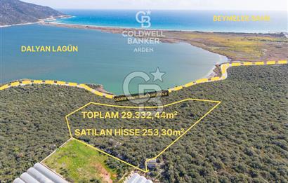 DEMRE BEYMELEK DE CB ARDEN DEN FULL DENİZ MANZARALI SATILIK ZEYTİNLİK