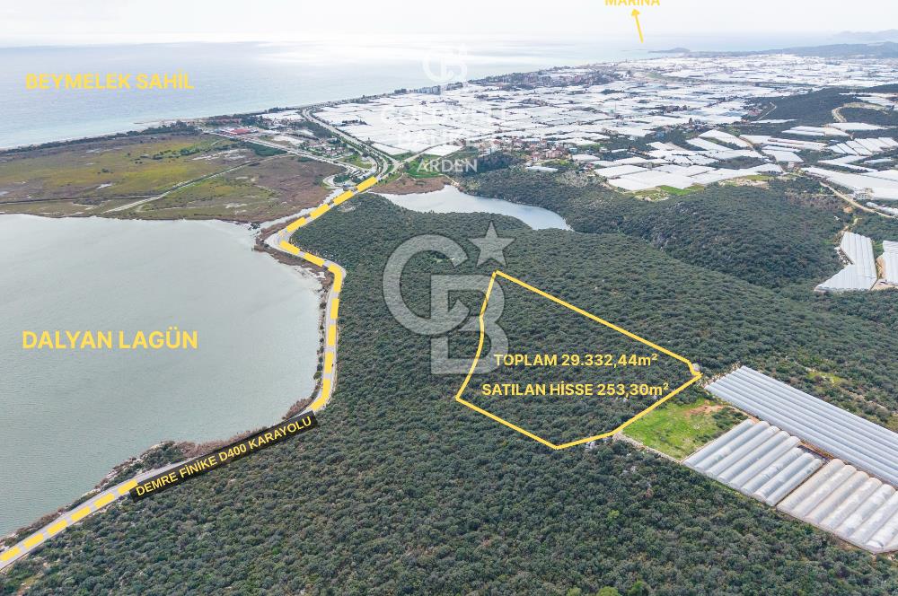 DEMRE BEYMELEK DE CB ARDEN DEN FULL DENİZ MANZARALI SATILIK ZEYTİNLİK