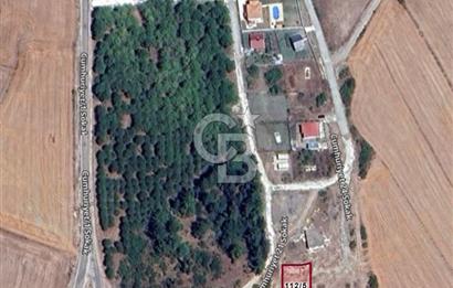 BALIKESİR MANYAS CUMHURİYET KÖYÜ'NDE HAYALİNİZDEKİ YAŞAMI KURUN!