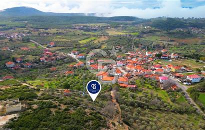 YATAĞAN ELMACIK'TA YATIRIMLIK 2,5 DÖNÜM KÖY İÇİ ZEYTİNLİK