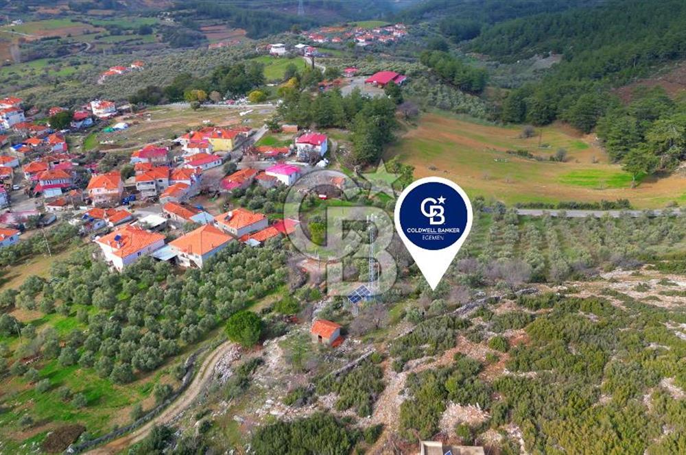 YATAĞAN ELMACIK'TA YATIRIMLIK 2,5 DÖNÜM KÖY İÇİ ZEYTİNLİK