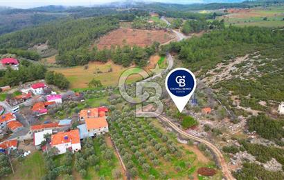 YATAĞAN ELMACIK'TA YATIRIMLIK 2,5 DÖNÜM KÖY İÇİ ZEYTİNLİK