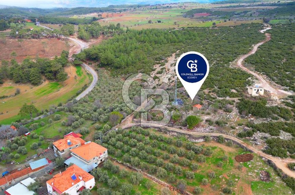 YATAĞAN ELMACIK'TA YATIRIMLIK 2,5 DÖNÜM KÖY İÇİ ZEYTİNLİK