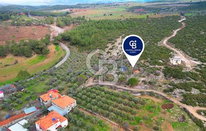 YATAĞAN ELMACIK'TA YATIRIMLIK 2,5 DÖNÜM KÖY İÇİ ZEYTİNLİK